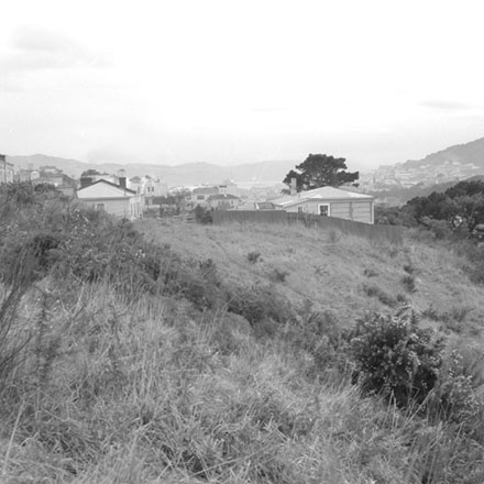 a. Hanson St Flats