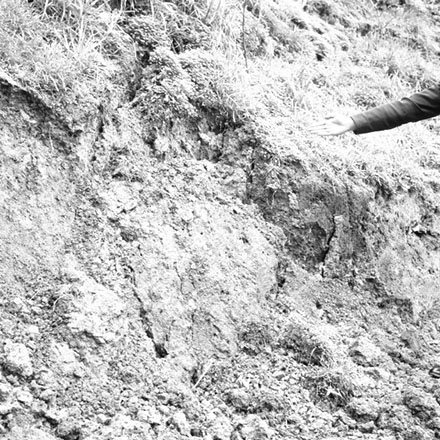 a. No 70 Camperdown Road