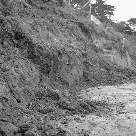 c. No 70 Camperdown Road