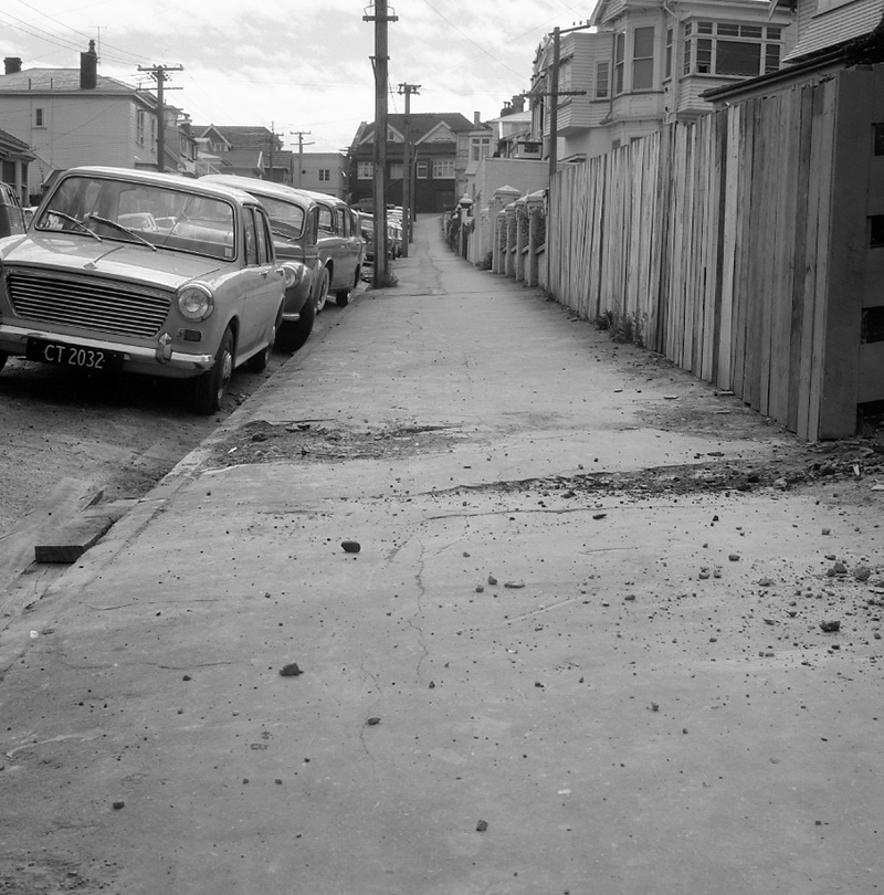 a. No 36 Roxburgh St