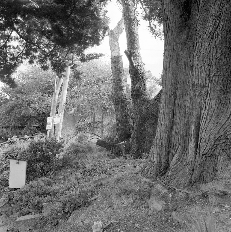 a. No 16 Beere Haven Road