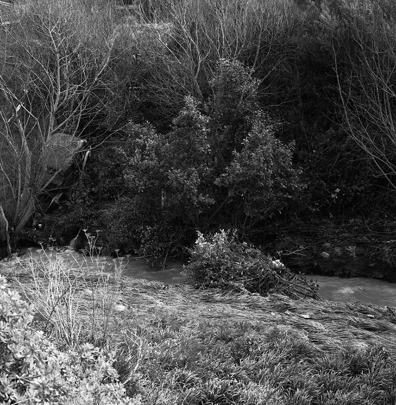 a. Stream, Waikowhai Road
