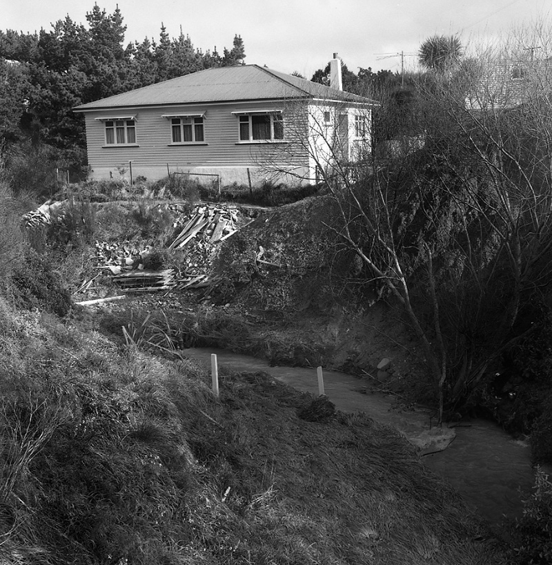 b. Stream, Waikowhai Road