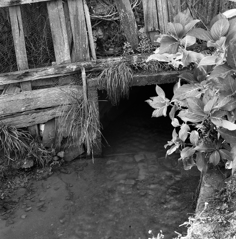 e. No 240 Karori Road