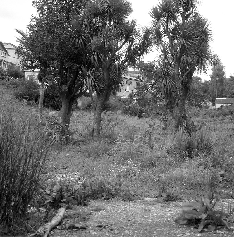 e. Nairn St Subdivision