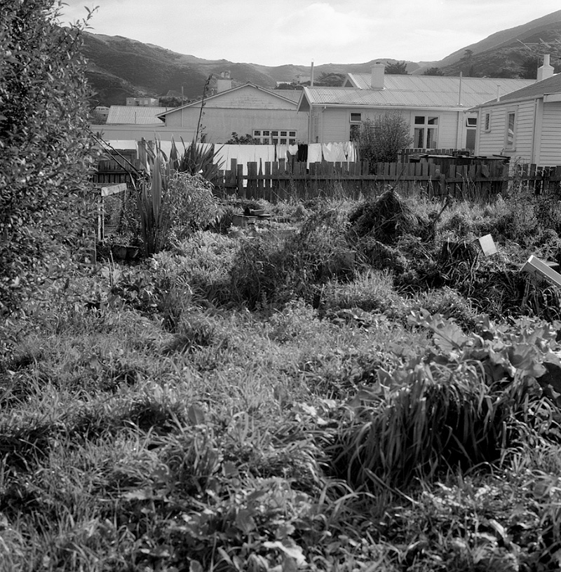 b. No 240 Karori Road