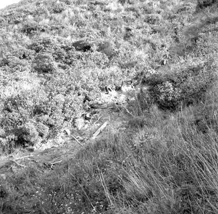 c. Views of yard and driveway access to 189 Buckley Road