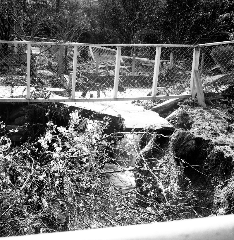 b. No 43 Awarua Street