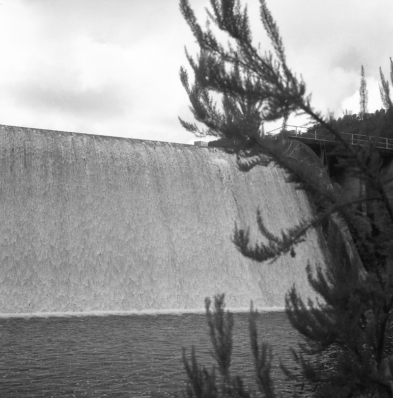 g. Morton Dam