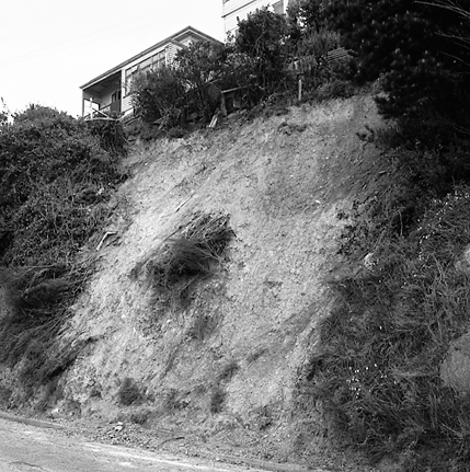 c. Slip, 16 Mortimer Terrace, Brooklyn