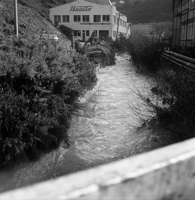 b. Kaiwarra [Kaiwharawhara] Stream