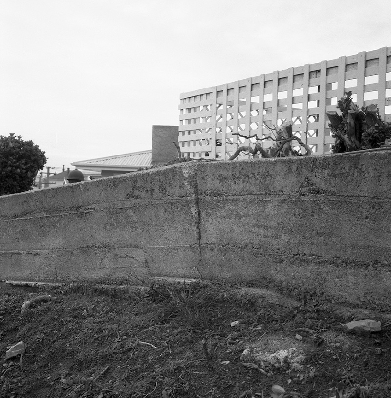 b. No 5 Macaulay Terrace