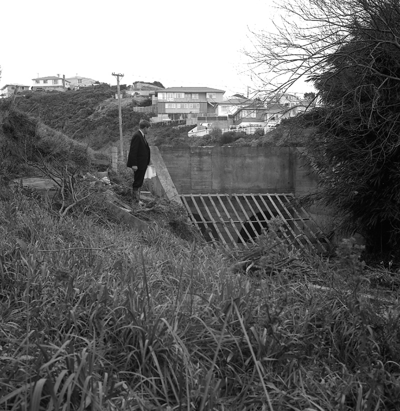 a. Nos 145-149 Main Road, Johnsonville