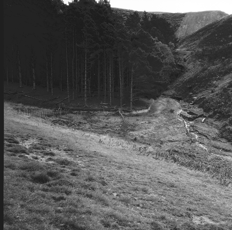 b. Emerson Street, Berhampore, Flooding