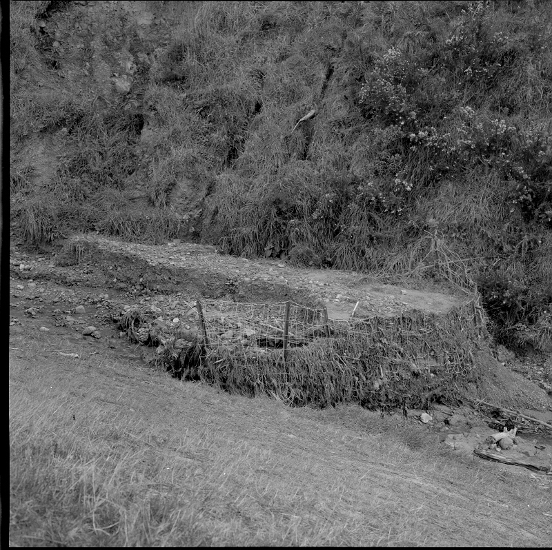 e. Emerson Street, Berhampore, Flooding