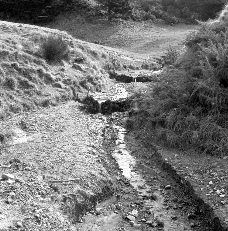 g. Emerson Street, Berhampore, Flooding