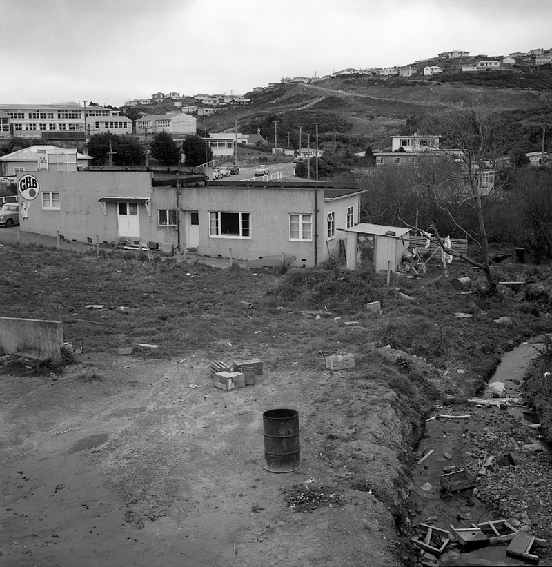 a. Newlands Stream   environs