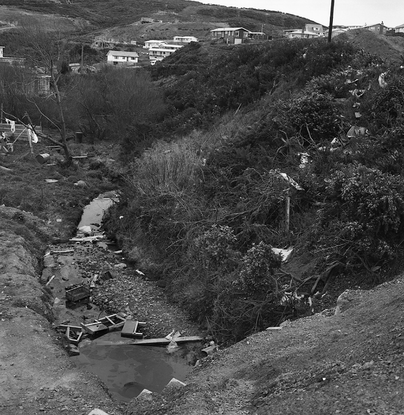 b. Newlands Stream   environs