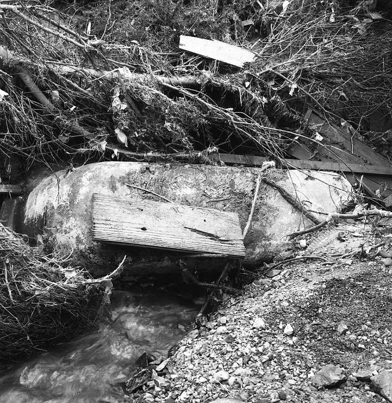 c. Newlands Stream   environs