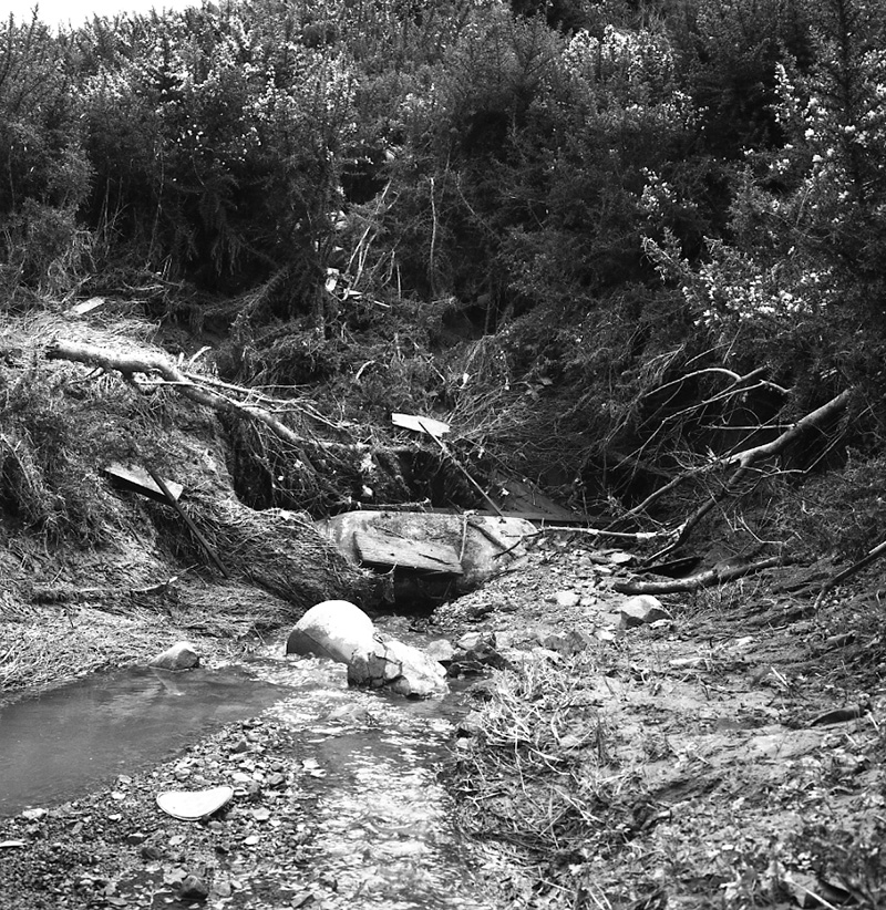 d. Newlands Stream   environs