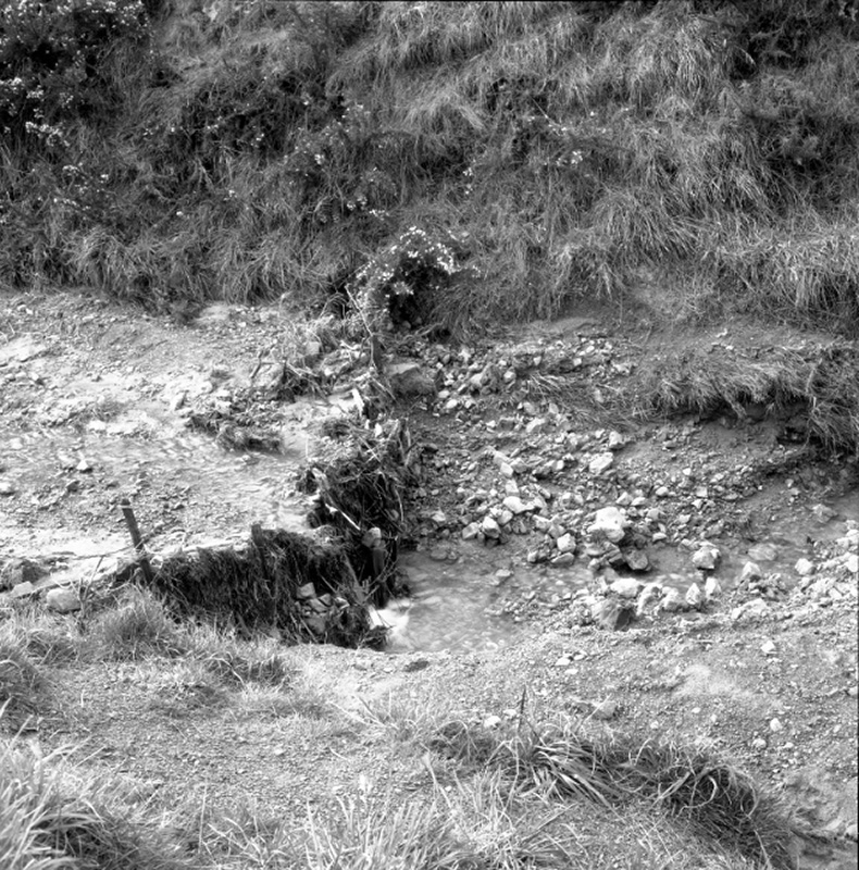 j. Emerson Street, Berhampore, Flooding