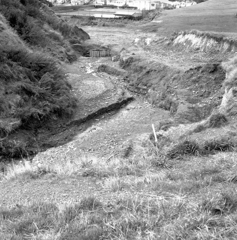 l. Emerson Street, Berhampore, Flooding