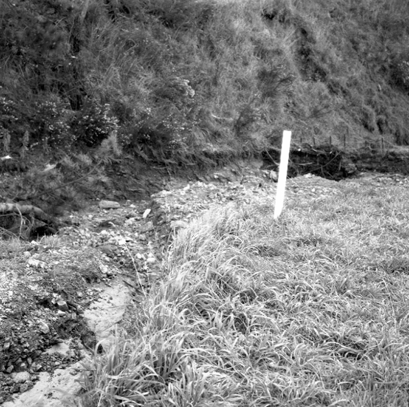 m. Emerson Street, Berhampore, Flooding