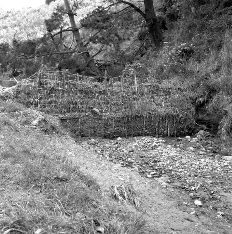 n. Emerson Street, Berhampore, Flooding