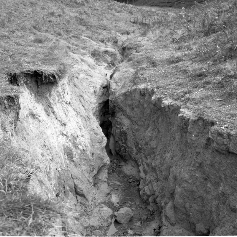 o. Emerson Street, Berhampore, Flooding