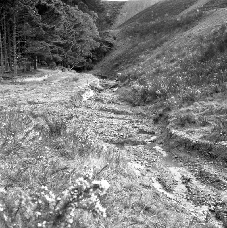 p. Emerson Street, Berhampore, Flooding