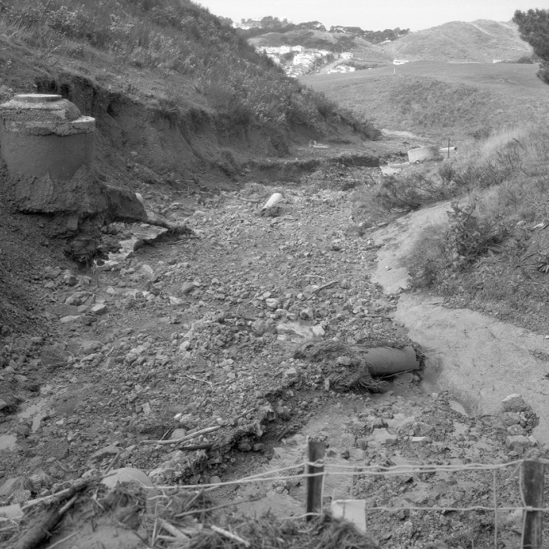 s. Emerson Street, Berhampore, Flooding
