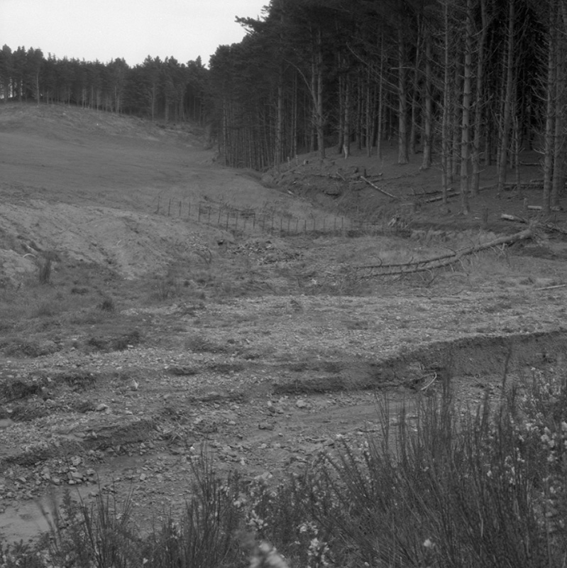 u. Emerson Street, Berhampore, Flooding