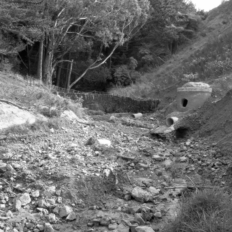 v. Emerson Street, Berhampore, Flooding
