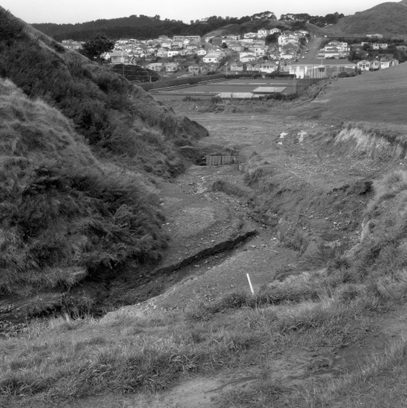 w. Emerson Street, Berhampore, Flooding