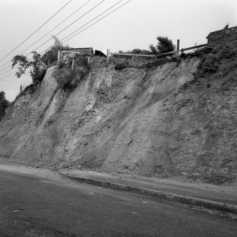 a. Rear of No 9 Farnham St [Berhampore/Mornington]