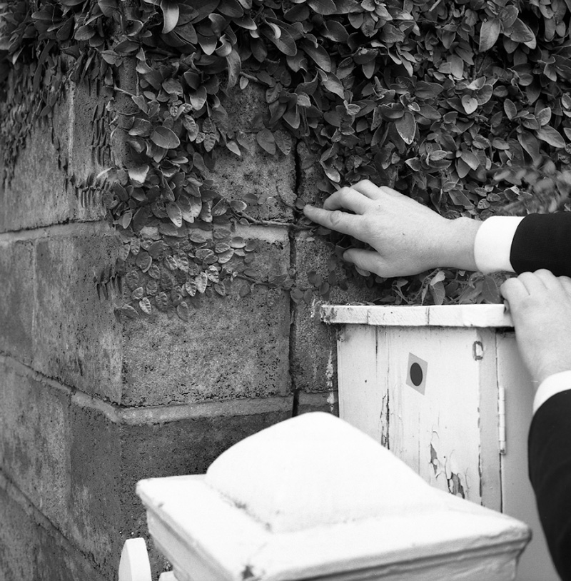 d. No 28 Central Terrace