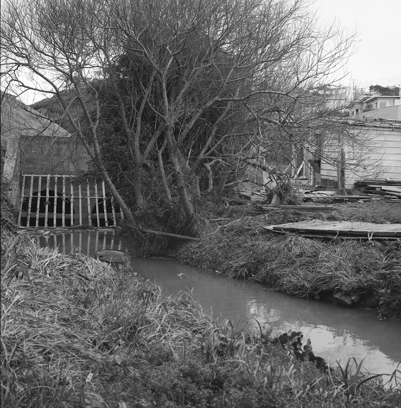 b. Nos 145-149 Main Road, Johnsonville