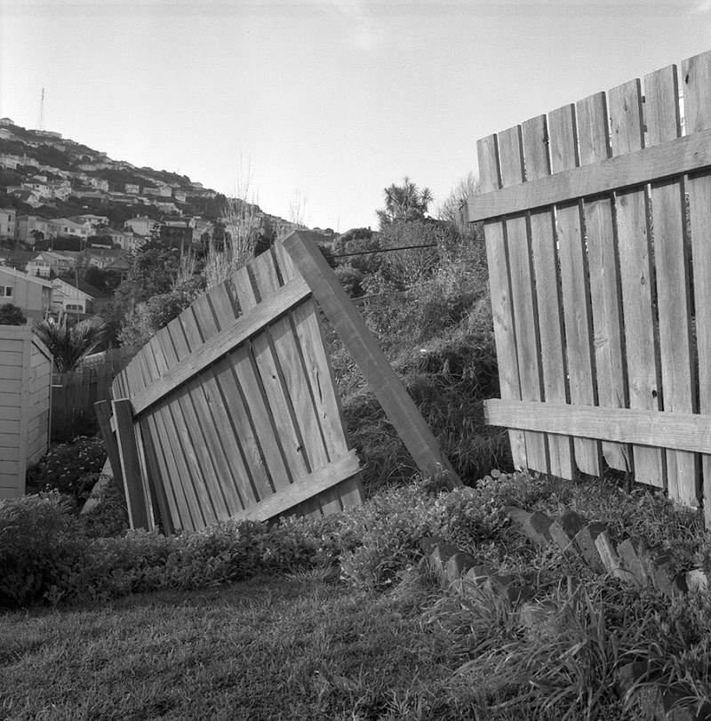 d. No 23 William Street