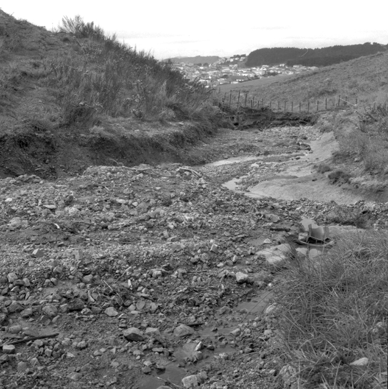 a. Emerson St Flooding