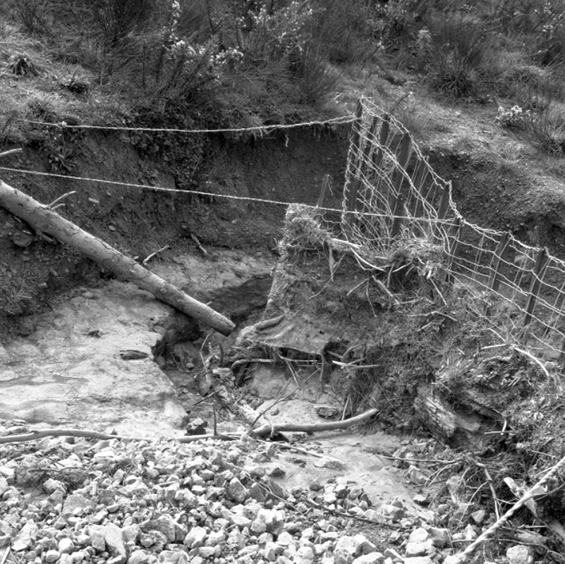 d. Emerson St Flooding