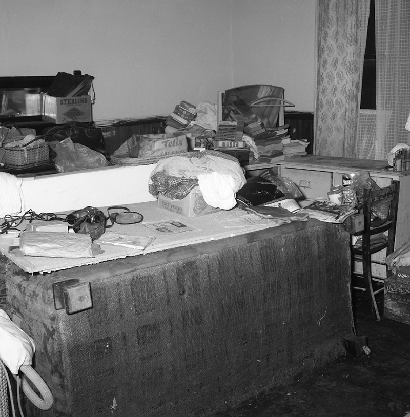 c. No 149 Main Road, Johnsonville