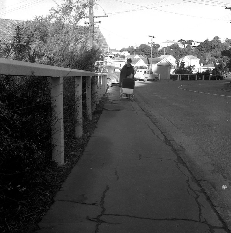b. Raroa Road