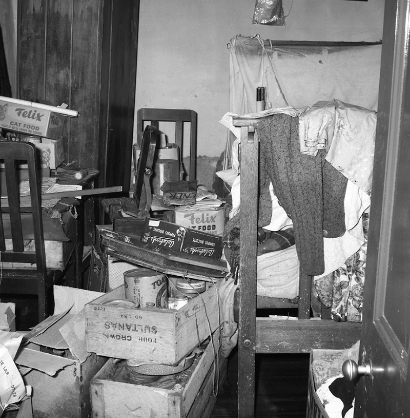 d. No 149 Main Road, Johnsonville