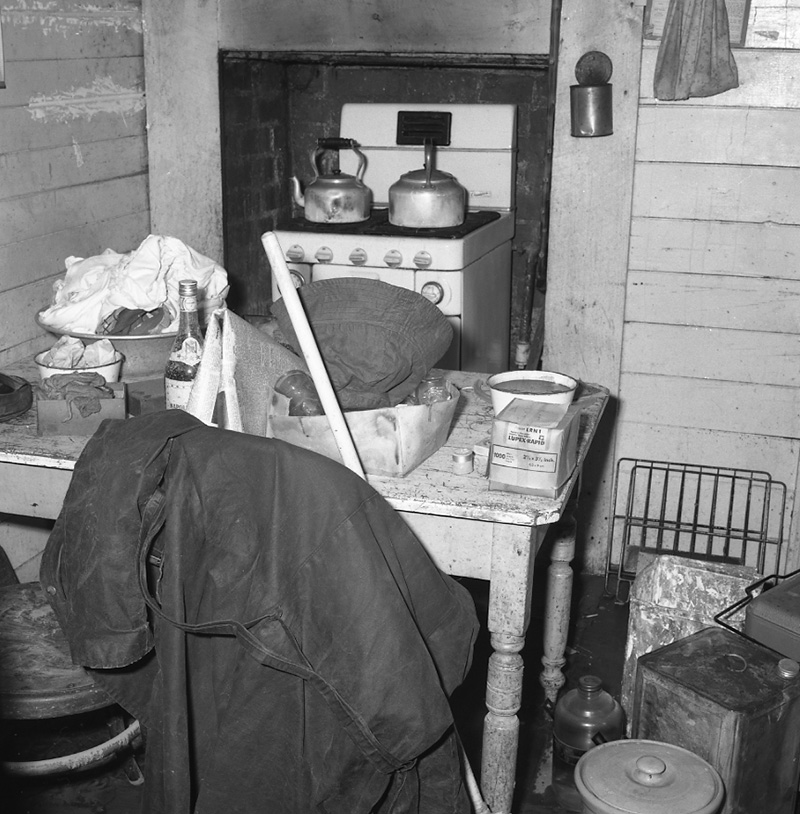 e. No 149 Main Road, Johnsonville