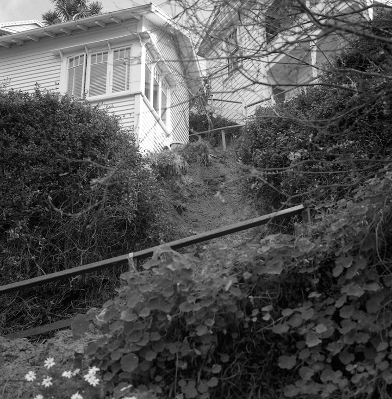 b. Bruce Avenue