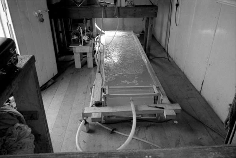 f. Drainage plant Ngauranga