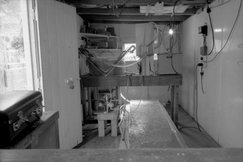 g. Drainage plant Ngauranga