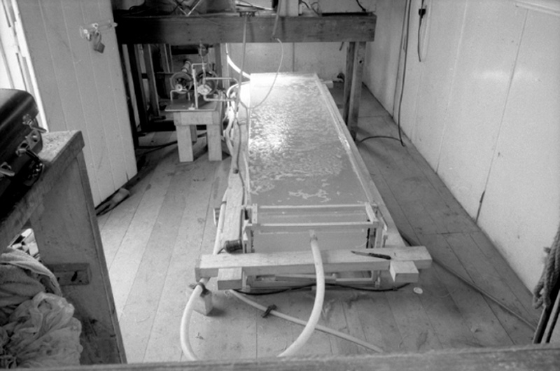 h. Drainage plant Ngauranga