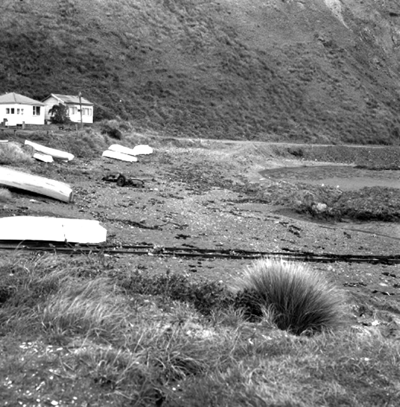 a. Dwellings, Moa Point