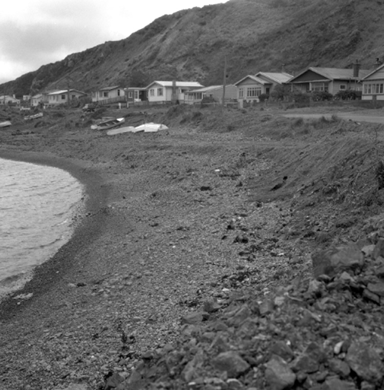 b. Dwellings, Moa Point